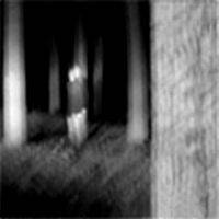 Stigma (ITA) : Metamorphosis